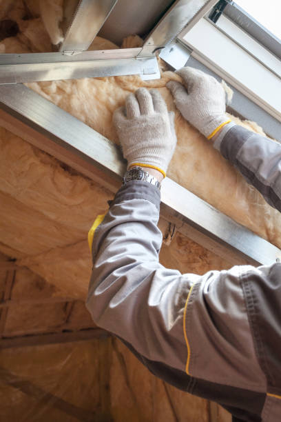 Best Spray Foam Insulation in Rice, TX